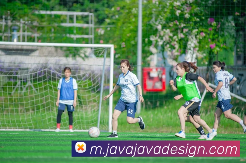 多彩内容专区